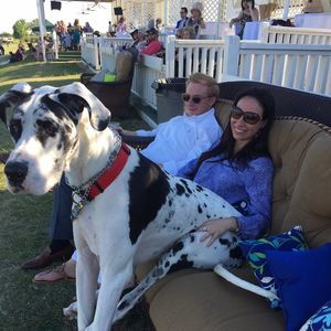 Meet your Posher, Brian